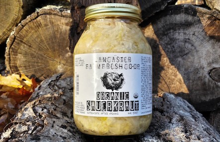 Organic White Sauerkraut