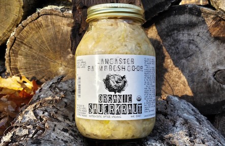 Organic White Sauerkraut 15oz