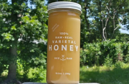 Blueberry Honey by Bee Raw Honey 10.5oz Jar