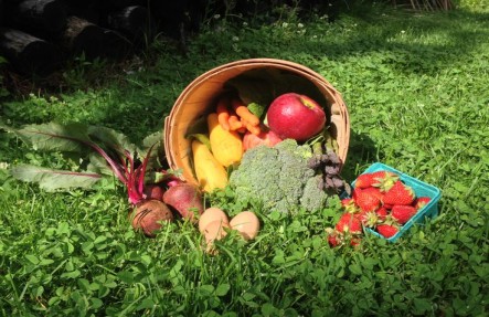 Corporate Fruit & Veggie Basket