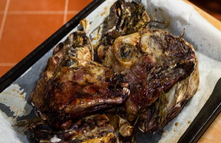 Lamb Head 1/2