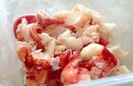 Maine Lobster Meat
