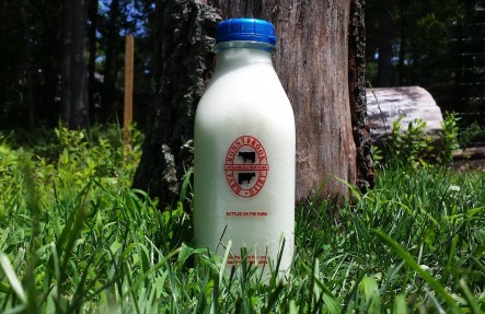 Ronnybrook Glass Bottled Low Fat Milk- 1 Quart 