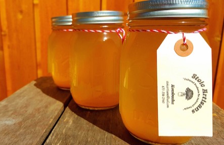 Kombucha: Apple Ginger- 1 Jar
