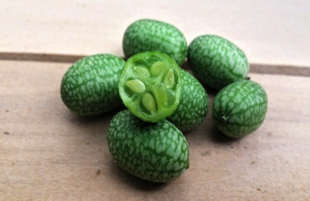 Cucumber *** 1lb****Carful of Weight