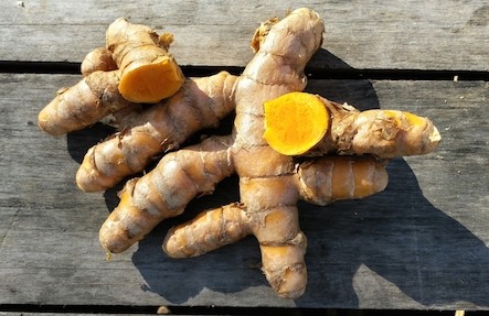 Organic Turmeric 1/2lb