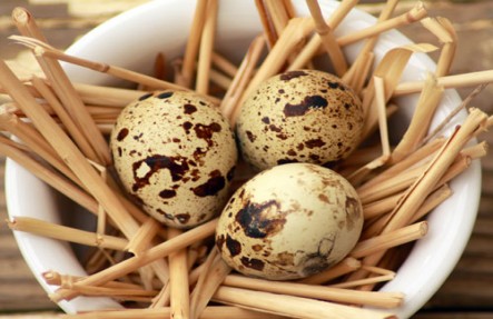 Quail Eggs 18ct