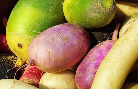 Organic Winter Radish Mix 2lbs